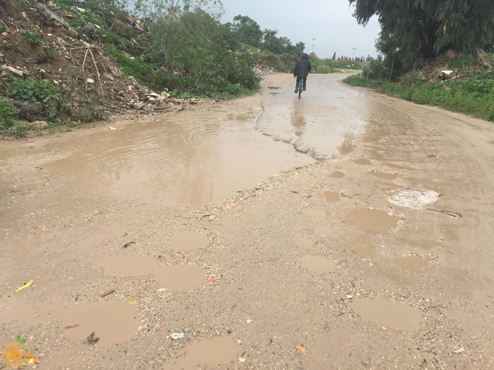 mo3anahr3h3u (6).jpg